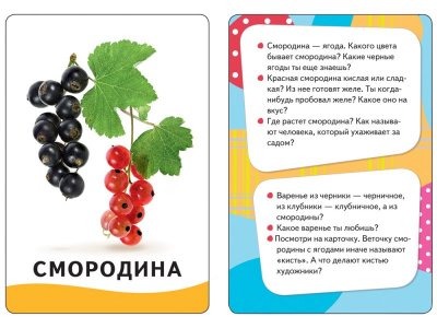 Карточки развивающие Росмэн Овощи, фрукты, ягоды 1-00285461_3