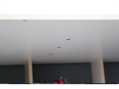 Кровать-чердак с рабочей зоной Капризун 5 1-00285596_13