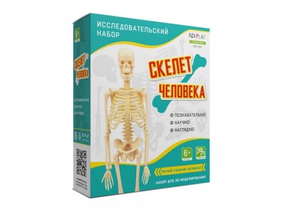 Набор исследовательский ND Play Скелет человека, 17 элементов 1-00289478_1