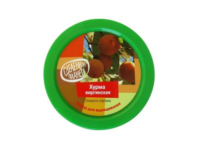 Набор для выращивания растений Вырасти, Дерево!, Хурма виргинская 1-00293445_3