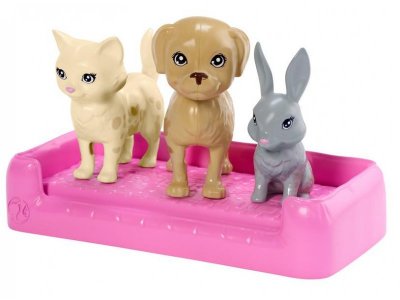 Набор для игры Mattel Barbie Кукла и домашние питомцы 1-00297900_3