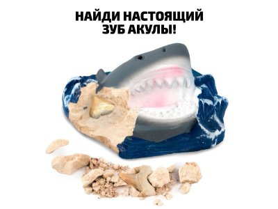 Набор для игры National Geographic Древняя акула, 6 предметов 1-00300871_4