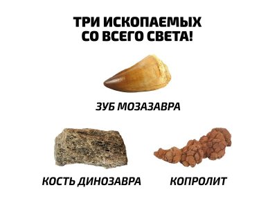 Набор для игры National Geographic Изучаем динозавров, 6 предметов 1-00300873_2
