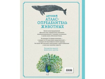 Книга Детский атлас-определитель животных / Издательство Эксмо 1-00303928_2