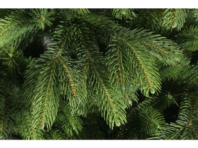 Ель искусственная Царь Ёлка, Беверли, 180 см 1-00307175_4