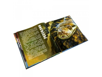 Книга Devar Энциклопедия WOW! Животные. 4D, твердая обложка 1-00311456_3