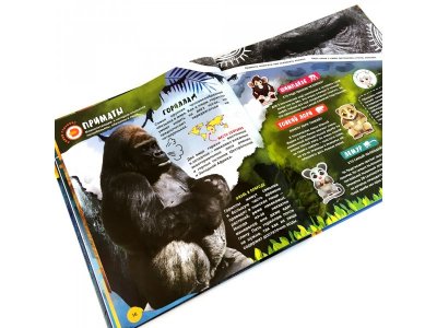 Книга Devar Энциклопедия WOW! Животные. 4D, твердая обложка 1-00311456_11