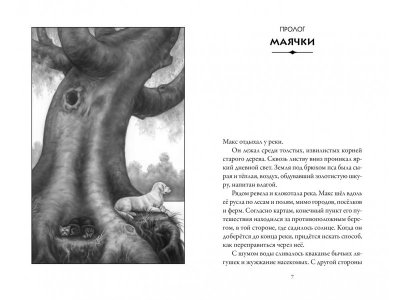 Книга Верные. Книга 3. Дорога чудес и невзгод  / изд. Азбука 1-00235925_2