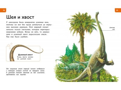 Книга Новая энциклопедия для любознательных, Коуп Р. / Machaon 1-00185411_4