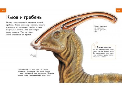Книга Новая энциклопедия для любознательных, Коуп Р. / Machaon 1-00185411_5