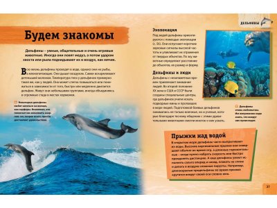 Книга Энциклопедия животных. Взрослые и детёныши / Machaon 1-00185415_2