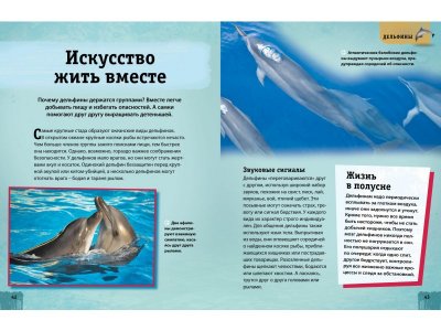 Книга Энциклопедия животных. Взрослые и детёныши / Machaon 1-00185415_3