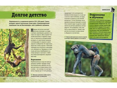 Книга Энциклопедия животных. Взрослые и детёныши / Machaon 1-00185415_7