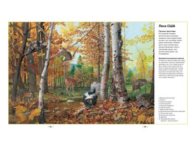 Книга Иллюстрированная энциклопедия животных, Клош П., Кьоцци Д., Коппини К. / Machaon 1-00185416_4