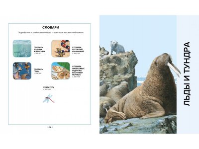 Книга Иллюстрированная энциклопедия животных, Клош П., Кьоцци Д., Коппини К. / Machaon 1-00185416_6
