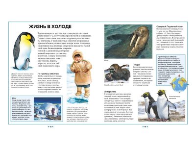 Книга Иллюстрированная энциклопедия животных, Клош П., Кьоцци Д., Коппини К. / Machaon 1-00185416_7