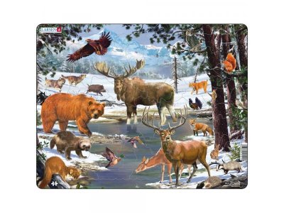 Пазл Larsen Животные Северной Европы, 54 элем. 1-00316624_1