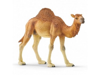 Фигурка Schleich Одногорбый верблюд 1-00316811_1