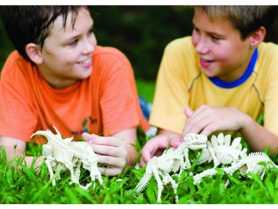 Набор 4M Раскопай скелет, Мамонт 1-00316413_3