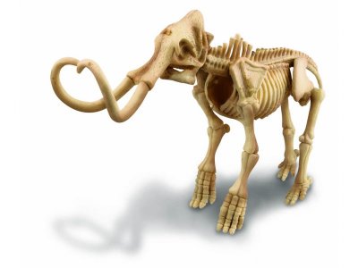 Набор 4M Раскопай скелет, Мамонт 1-00316413_4