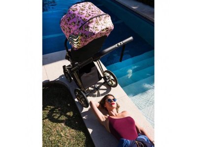 Коляска с прогулочным блоком и рамой Cybex Priam FE JS Cherubs 1-00321806_11