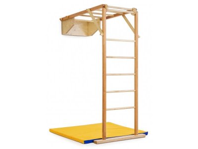 Комплекс спортивный Kidwood Жираф 1-00325209_1