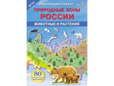 Плакат обучающий Природные зоны России. Животные и растения / ТД Стрекоза 1-00325857_1