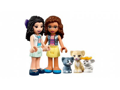 Конструктор Lego Friends Машина скорой ветеринарной помощи 1-00328998_5
