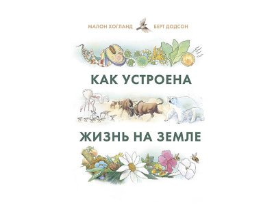 Книга Как устроена жизнь на Земле Хогланд М., Додсон Б. / Издательство МИФ 1-00330239_1