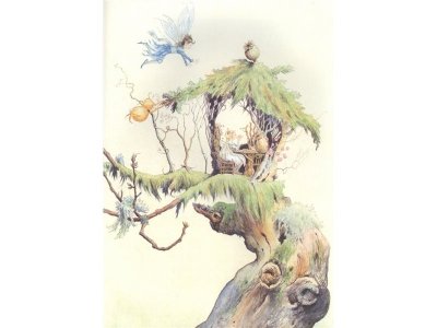 Книга Невероятные приключения лесной феи и её друзей Миллс Л., Нолан Д. / Издательство Аст 1-00329985_5