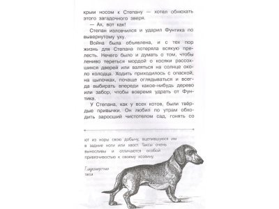 Книга Заячьи лапы Паустовский К.Г. / Издательство Аст 1-00330001_4