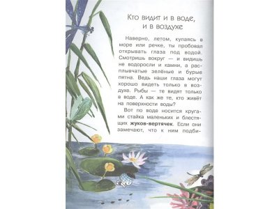 Книга Сколько глаз у стрекозы? Танасийчук В.Н. / Издательство Аст 1-00330161_2