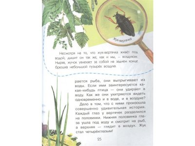 Книга Сколько глаз у стрекозы? Танасийчук В.Н. / Издательство Аст 1-00330161_3