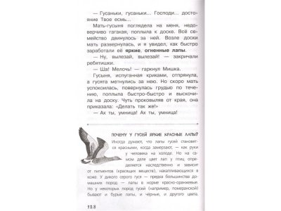 Книга Васюткино озеро Астафьев В.П. / Издательство Аст 1-00330332_3