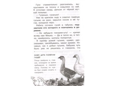 Книга Васюткино озеро Астафьев В.П. / Издательство Аст 1-00330332_4