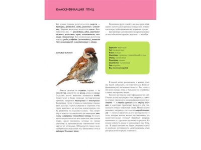 Книга Птицы. Полная энциклопедия Школьник Ю.К. / Издательство Эксмо 1-00303917_3