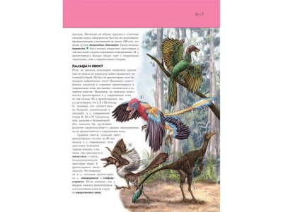 Книга Птицы. Полная энциклопедия Школьник Ю.К. / Издательство Эксмо 1-00303917_7