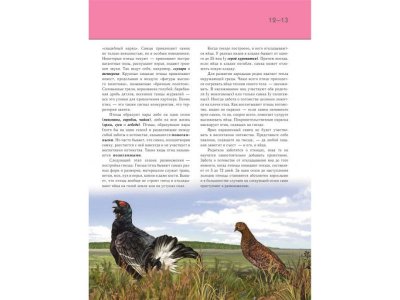 Книга Птицы. Полная энциклопедия Школьник Ю.К. / Издательство Эксмо 1-00303917_10