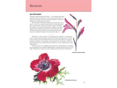 Книга Растения. Полная энциклопедия Школьник Ю.К. / Издательство Эксмо 1-00303919_5