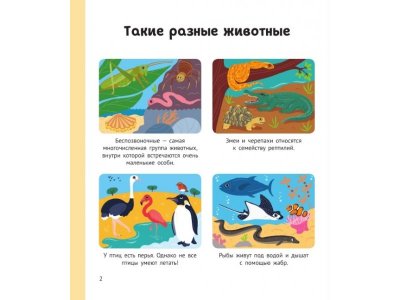 Книга Энциклопедия животных для малышей / Издательство Эксмо 1-00303980_2