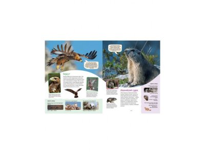 Книга Яркий мир животных  / Machaon 1-00236113_2