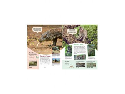 Книга Яркий мир животных  / Machaon 1-00236113_5