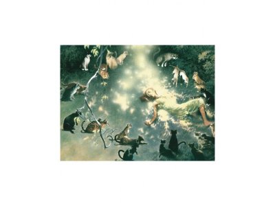 Книга Кошки Дремучего леса, Линт Ч. де, Весс Ч. / Издательство Азбука 1-00202090_2