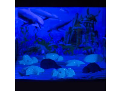 Набор Космический песок Морской мир 3 кг 1-00302494_12