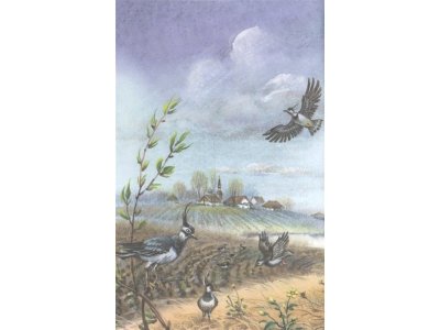 Книга Стихи русских поэтов о животных (ил. В. Канивца) Пушкин А., Толстой А., Блок А. / Издательство Эксмо 1-00304187_6