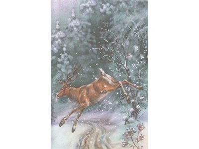 Книга Стихи русских поэтов о животных (ил. В. Канивца) Пушкин А., Толстой А., Блок А. / Издательство Эксмо 1-00304187_8