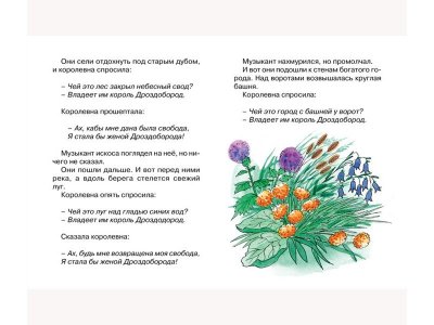 Книга Король Дроздобород Братья Гримм / Machaon 1-00236191_4