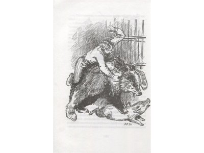 Книга Мои звери Дуров В. / Machaon 1-00235893_3