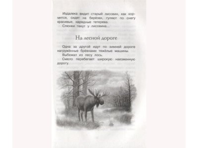 Книга Год в лесу Соколов-Микитов И. / Machaon 1-00235906_4