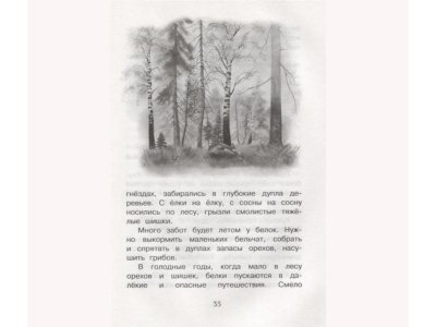 Книга Год в лесу Соколов-Микитов И. / Machaon 1-00235906_6